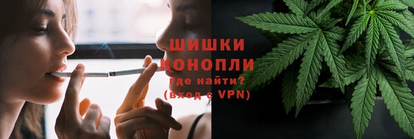 амф Володарск