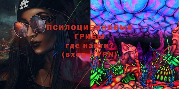ПСИЛОЦИБИНОВЫЕ ГРИБЫ Верхний Тагил