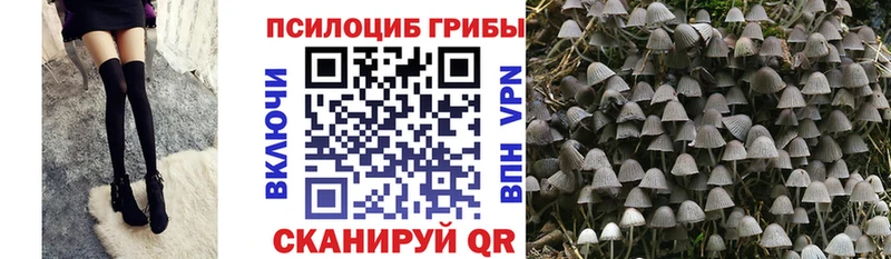 Галлюциногенные грибы Psilocybine cubensis  Лысьва 
